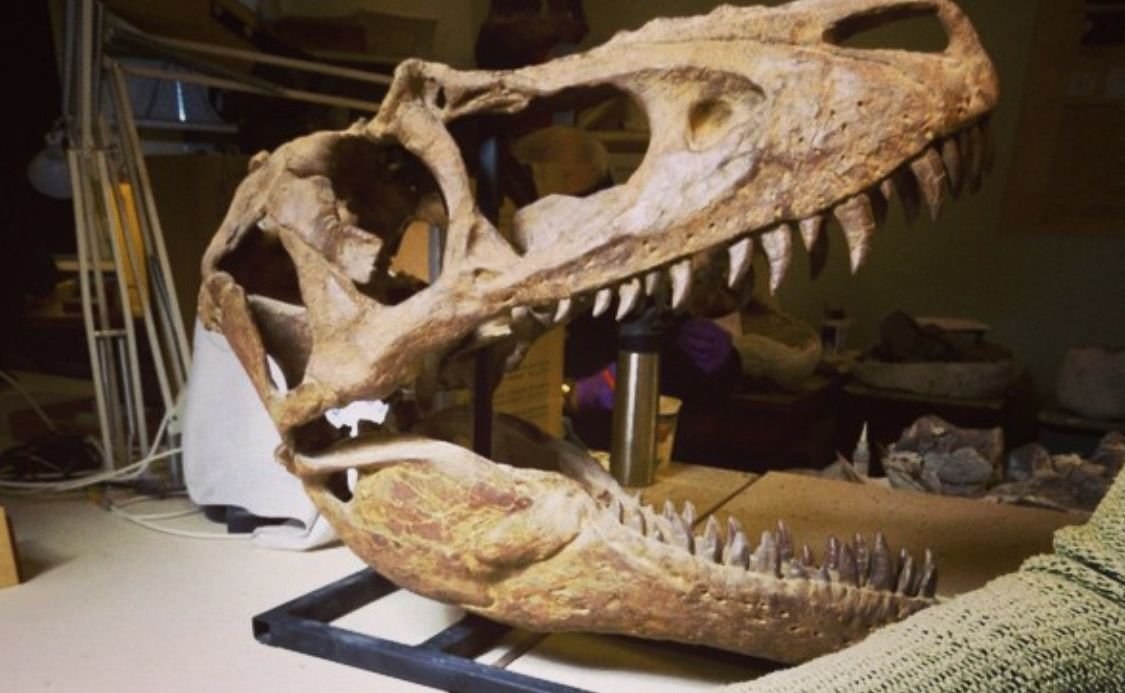 První dinosaurus ve vesmíru